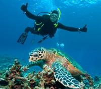 Hardy Reef Scuba Dive Hardy Reef Scuba Dive